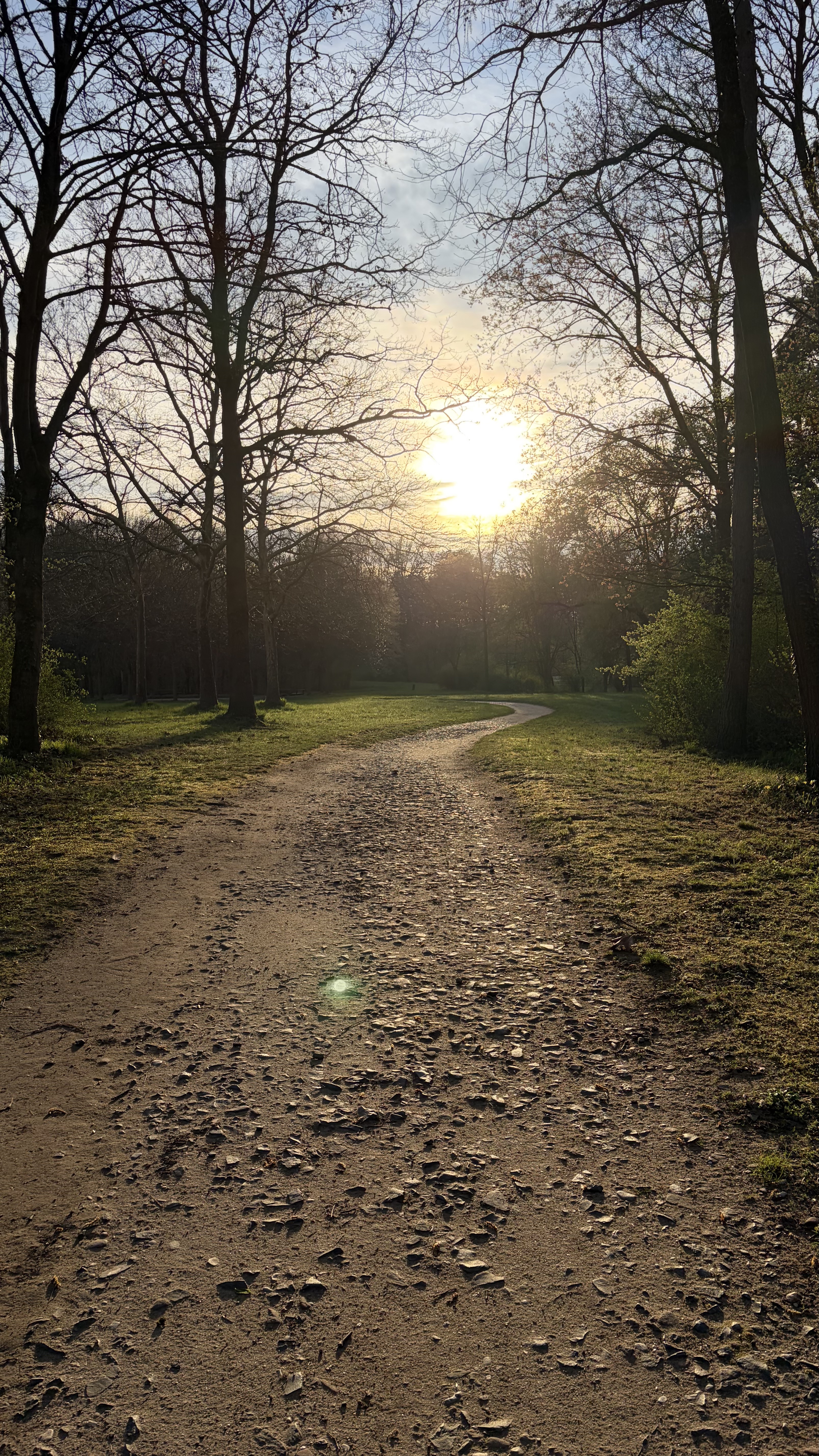 Evening Walk