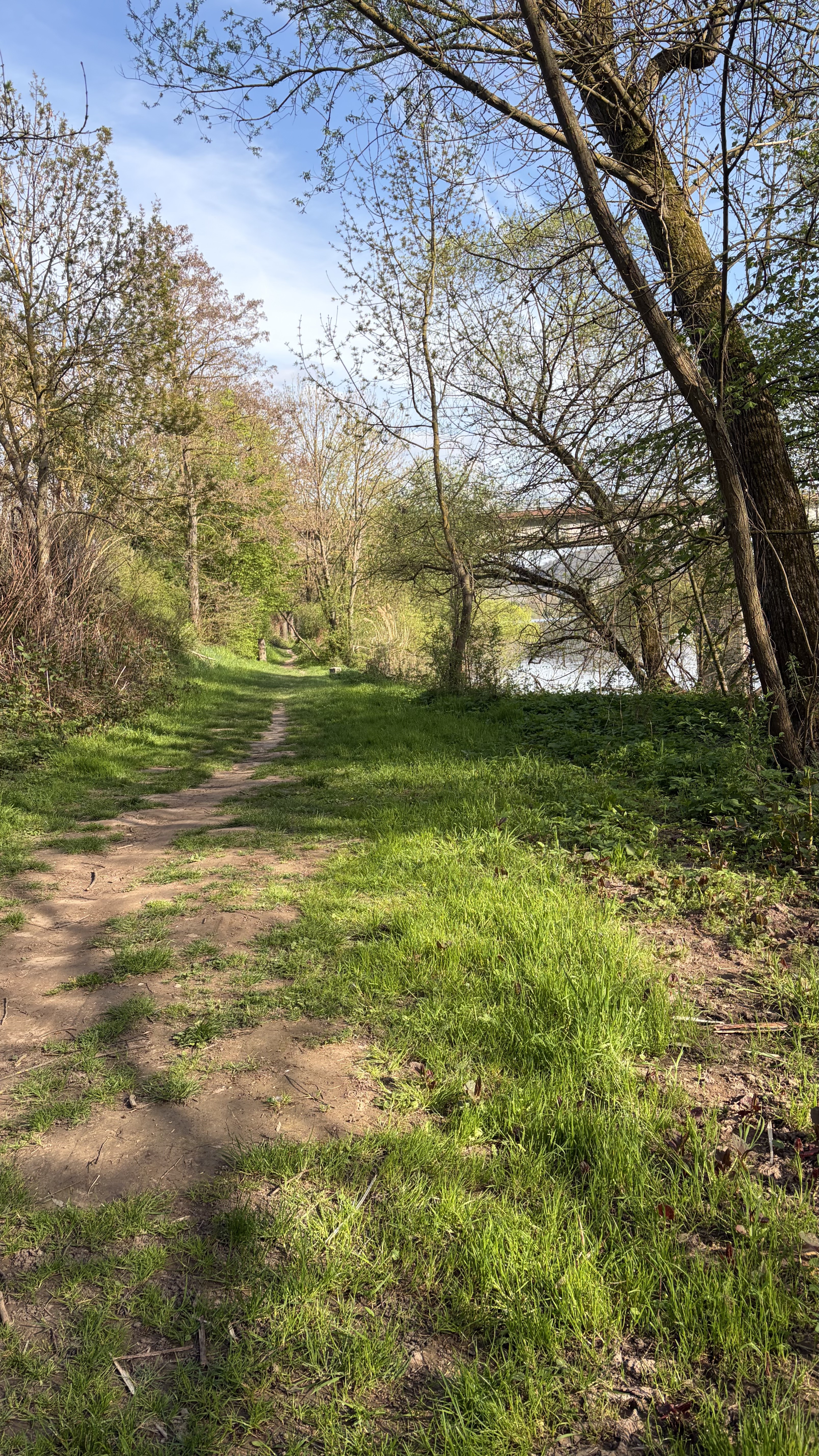 Walk
